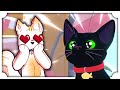 LA VITA DI UN GATTO PER 24 ORE