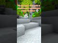 Papere Wither Minecraft