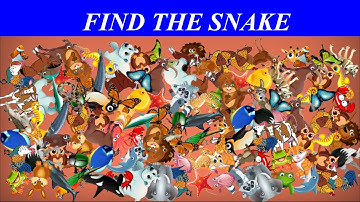 Find The Hidden Object In Picture | Hidden Object Game | AR Entertainment