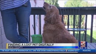 Using Facebook to Find Missing Pets