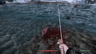 Skyrim new immersive fishing mod from CC. Fishing Mods With Ineed