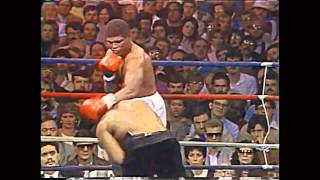 Mike Tyson Highlights ● Trainings ● Power ● Speed ● Defense ● Combinations ●