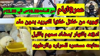 ازاي تذود معامل التحويل عند الفراخ/انورالنمرلصناعةالدواجن