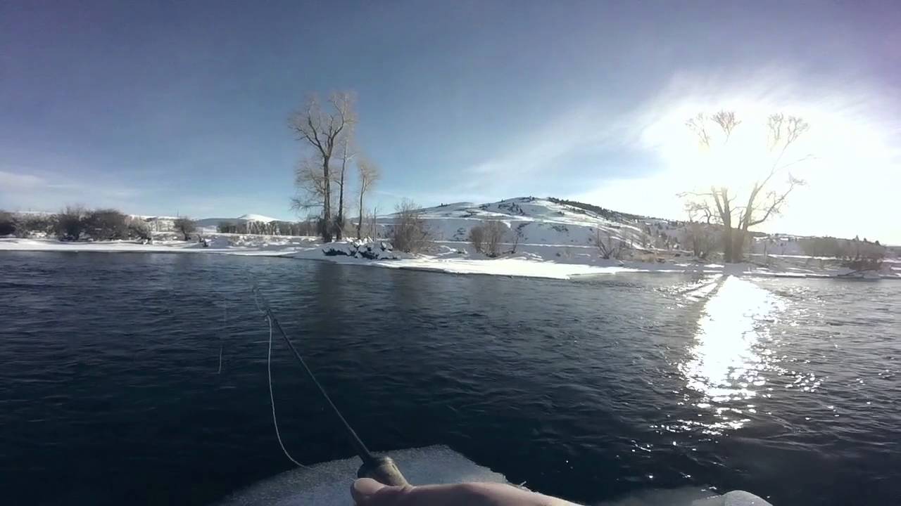 Winter fly fishing the Colorado River with Cutthroat Anglers! YouTube