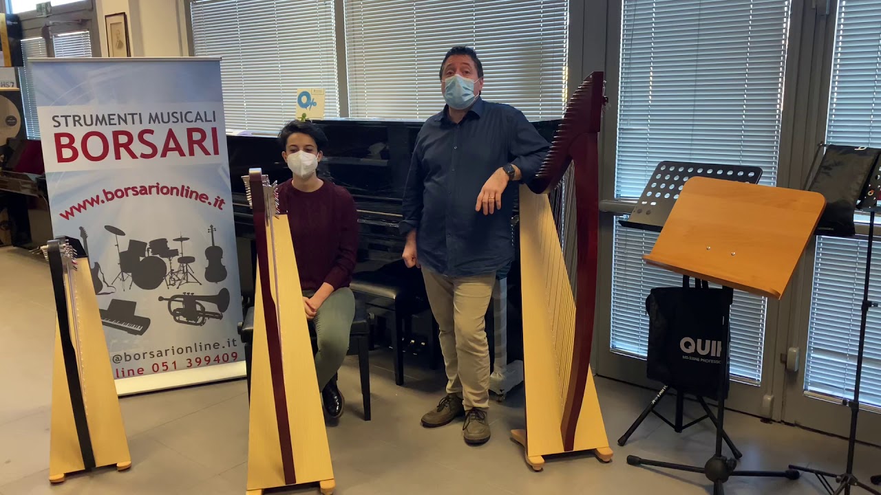 ARPA CELTICA Salvi MIA 34 corde a cura di borsarionline.it