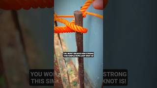 YOU WON'T BELIEVE HOW STRONG THIS SIMPLE ROPE LOOP KNOT IS! #ROPEKNOT #KNOTTYING #LIFEHACKS #diy