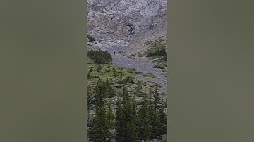 The Elbow Lake Sasquatch Encounter