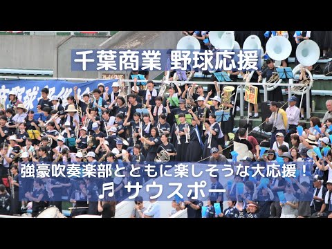 千葉商業 野球応援「サウスポー」美しい演奏と共に楽しそうな応援（千葉県高校野球応援2016）