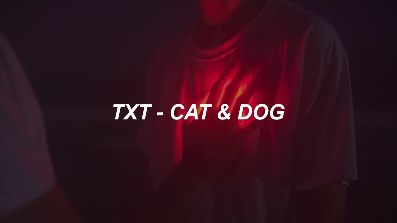 TXT (투모로우바이투게더) 'Cat & Dog' Easy Lyrics YouTube