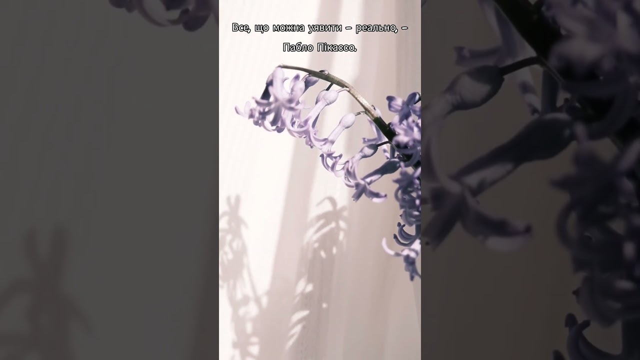 Мотиваційні цитати