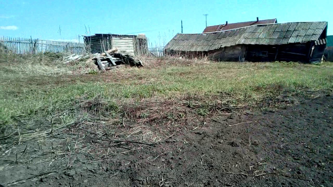 Покупка дома и план переезда гусей на новое место . - YouTube