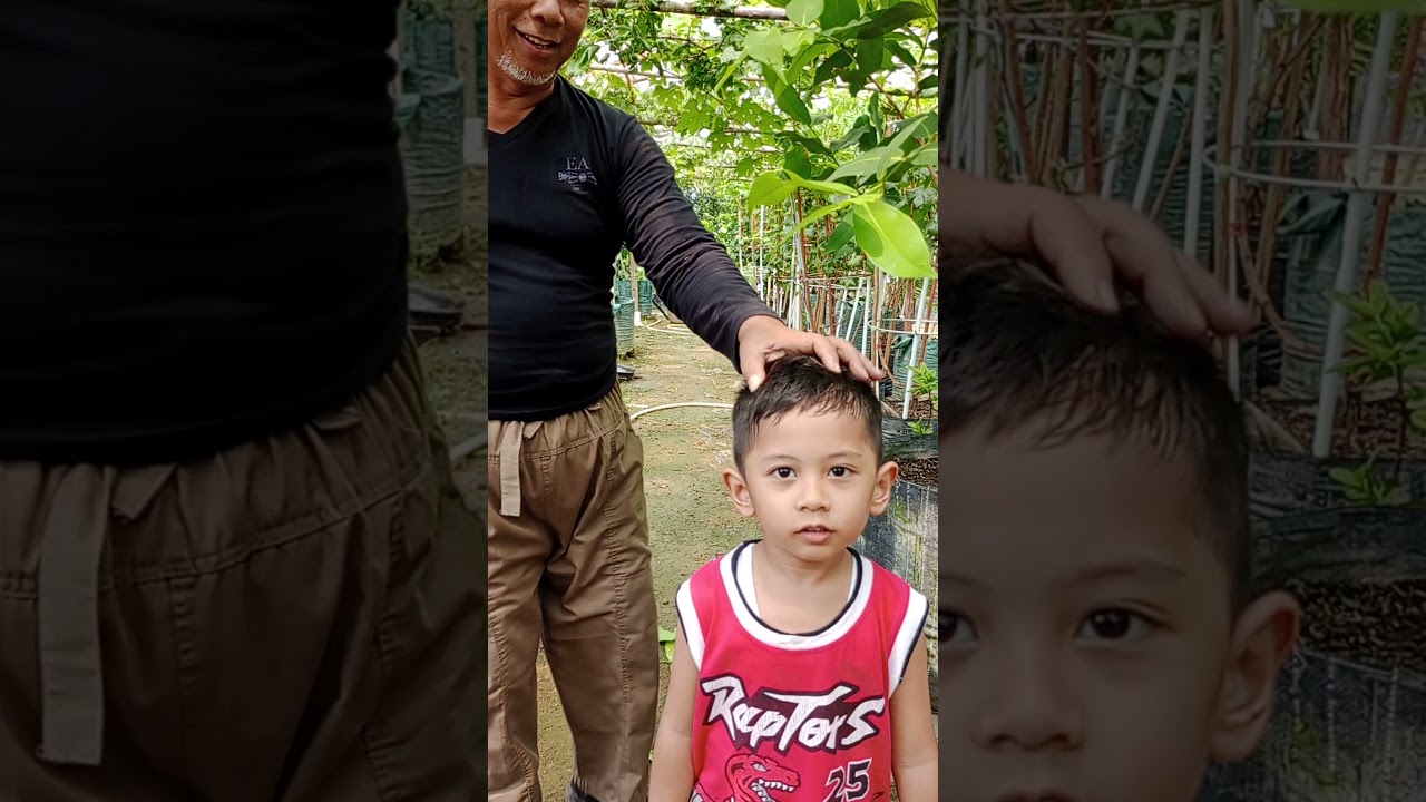 PENANGANAN FASE VEGETATIF TANAMAN JAMBU AIR TABULAMPOT.