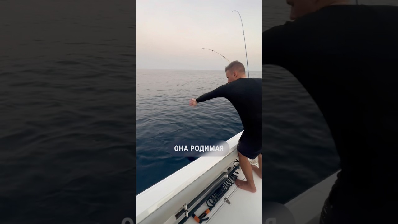 Так выглядит обычная вечерняя рыбалка в Фуджейре, если знать места 🌊 