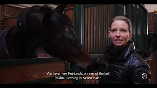 The Global Equestrian Group Brand Video