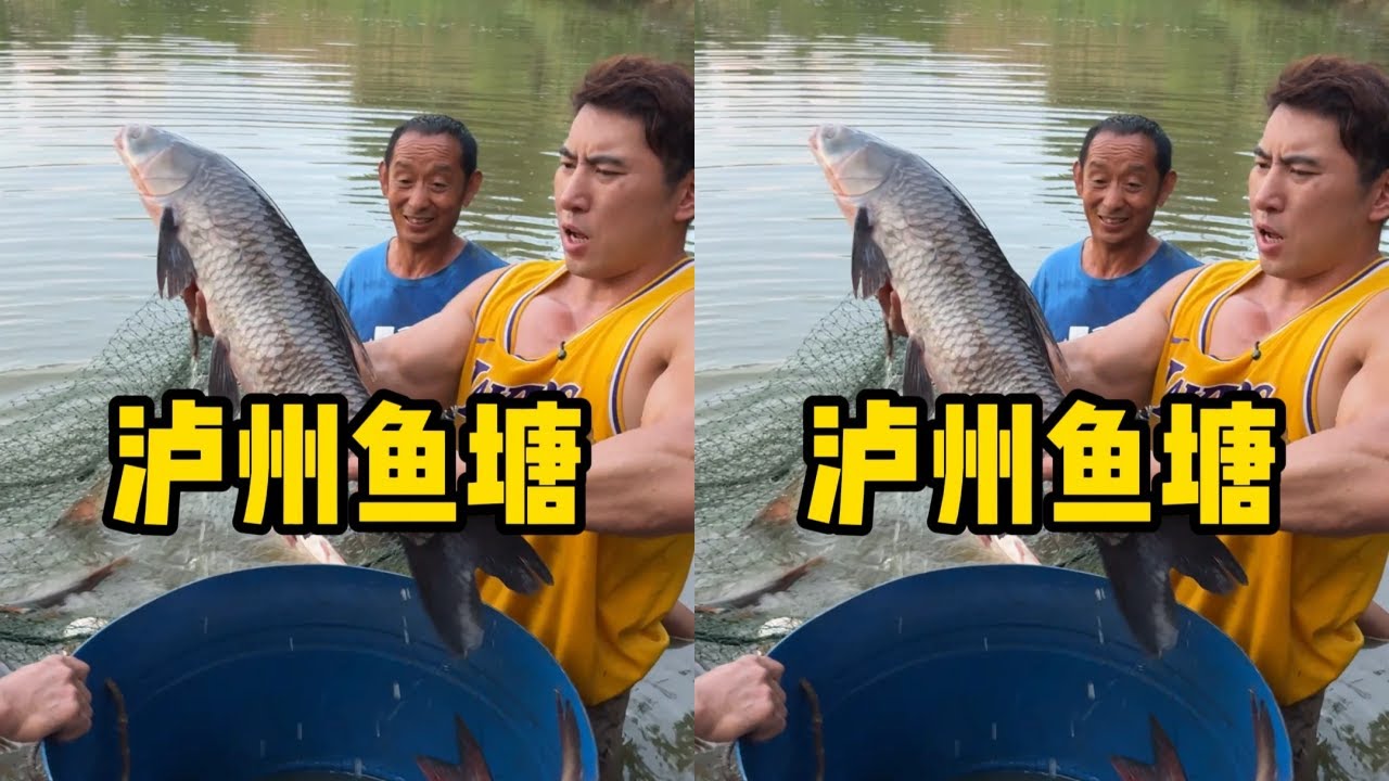 花5000元包下泸州鱼塘，没想到都是巨物，看看是亏还是赚？