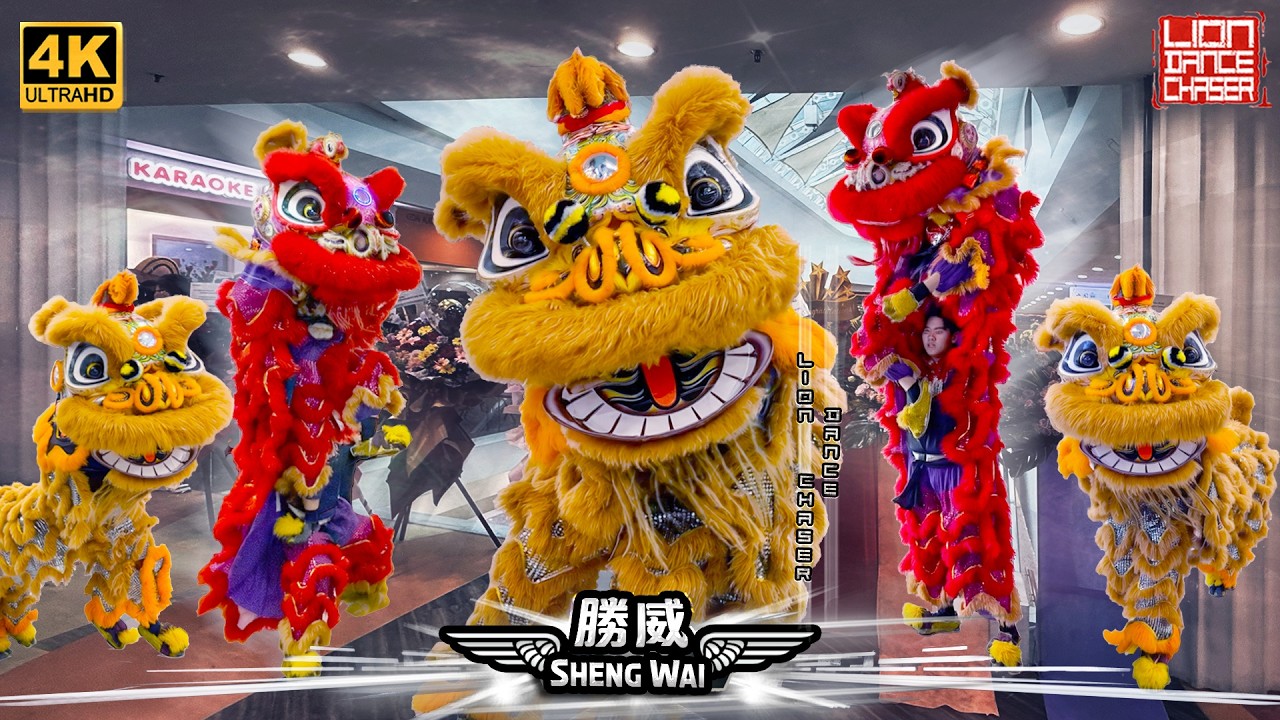 Lion Dance | Lucky Cute Lion Makes a Grand Entrance | 鸿运萌狮强势