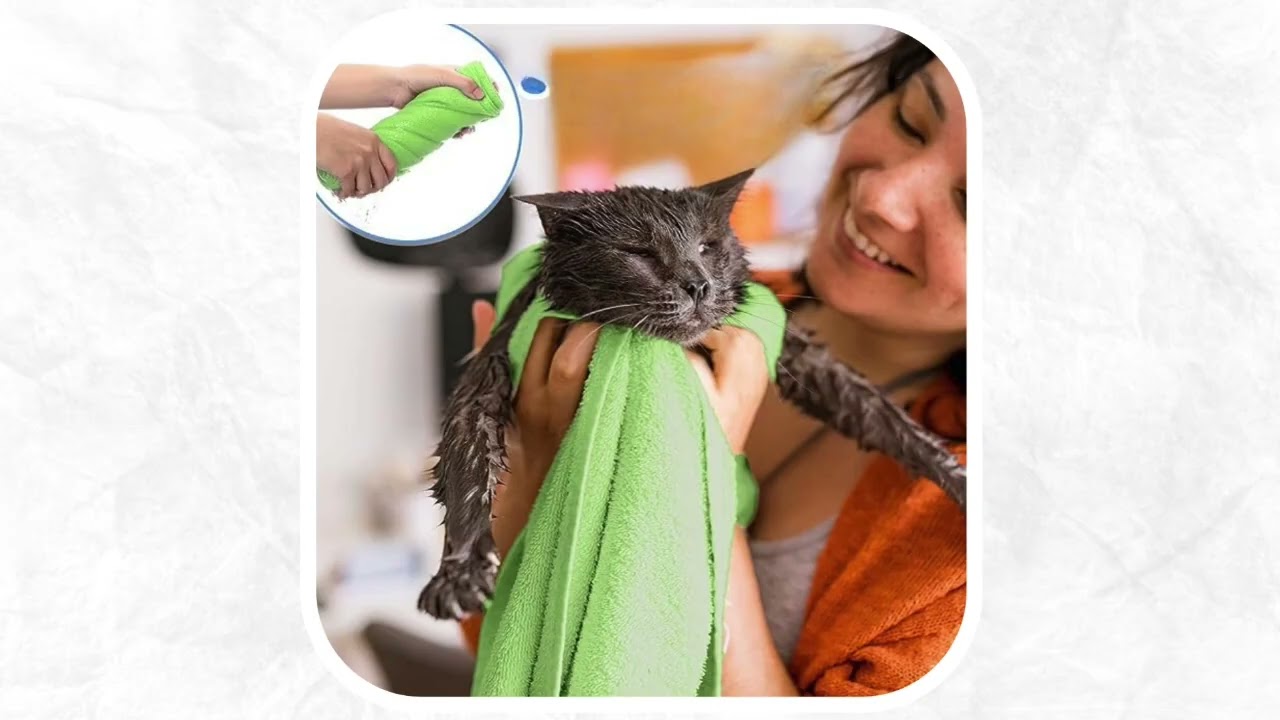 Stop Muddy Paws in the Car! 🐾 Best Quick-Dry Pet Towel 💧