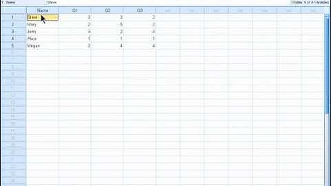 SPSS 19 Training : Switching Between Data and Variable Views