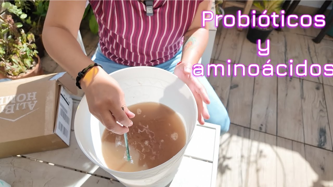 Los aminoácidos siempre son buena idea 