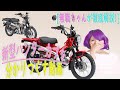 [初心者～中級向け]新型ハンターカブの全てがわかる動画!作業用