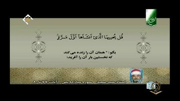 الشيخ سيد سعيد سورة يس 77 إلى 80