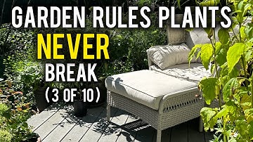 De verborgen baas van ELKE plant: apicale dominantie uitgelegd