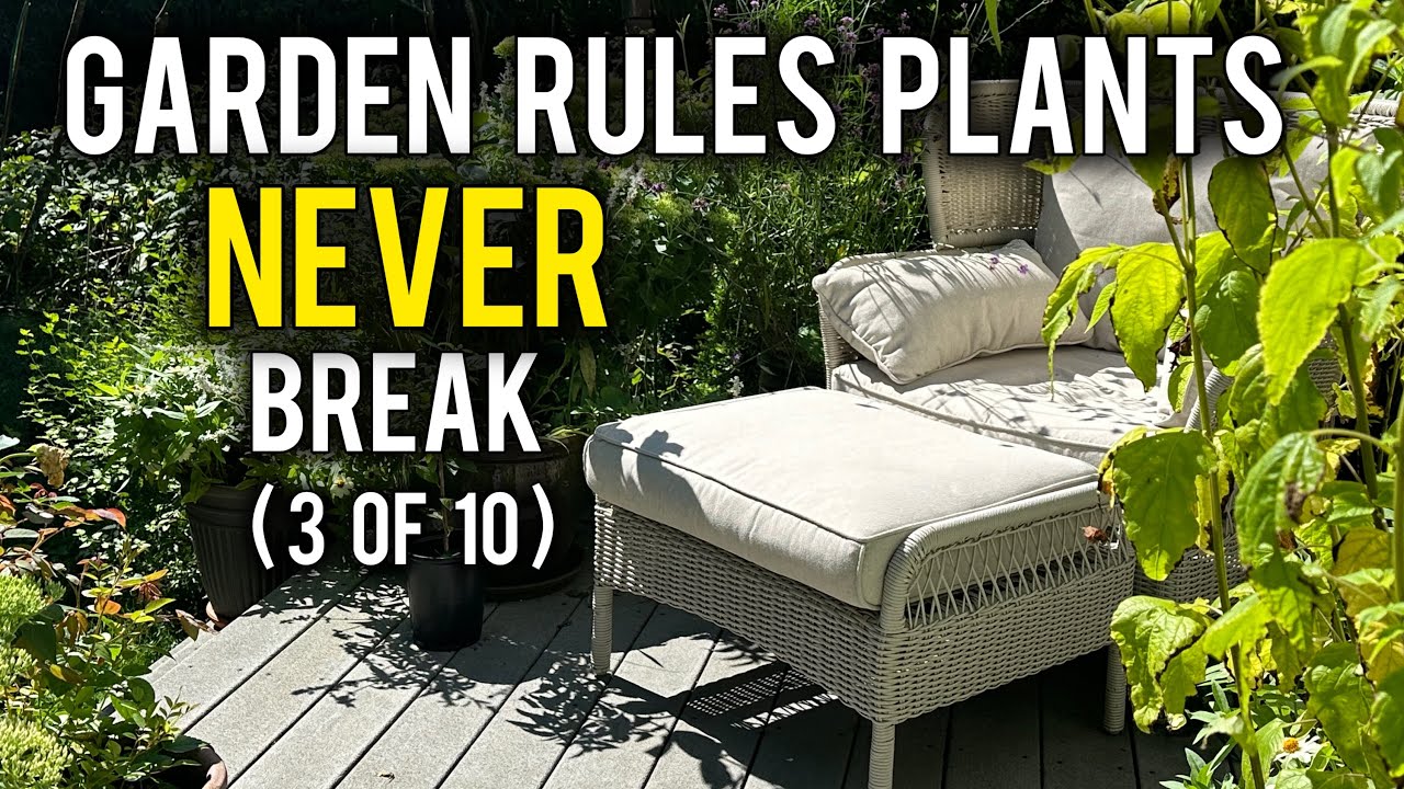 Скрытый босс КАЖДОГО растения: объяснение апикального доминирования