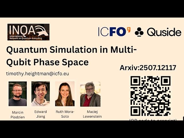 Quantum Simulation in Multi-Qubit Phase Space