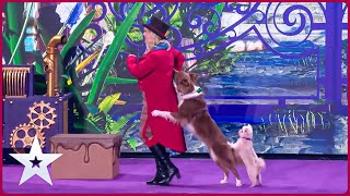 Watch Willy Wonka's Dancing Dogs ONLY On BGT 2024 Semi-Finals First Time Ever!
