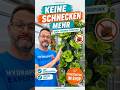 Schluss mit Schneckenfrust.🥬Zur Pfingstaktion im Shop! frankiesgarten.de/shop🌱