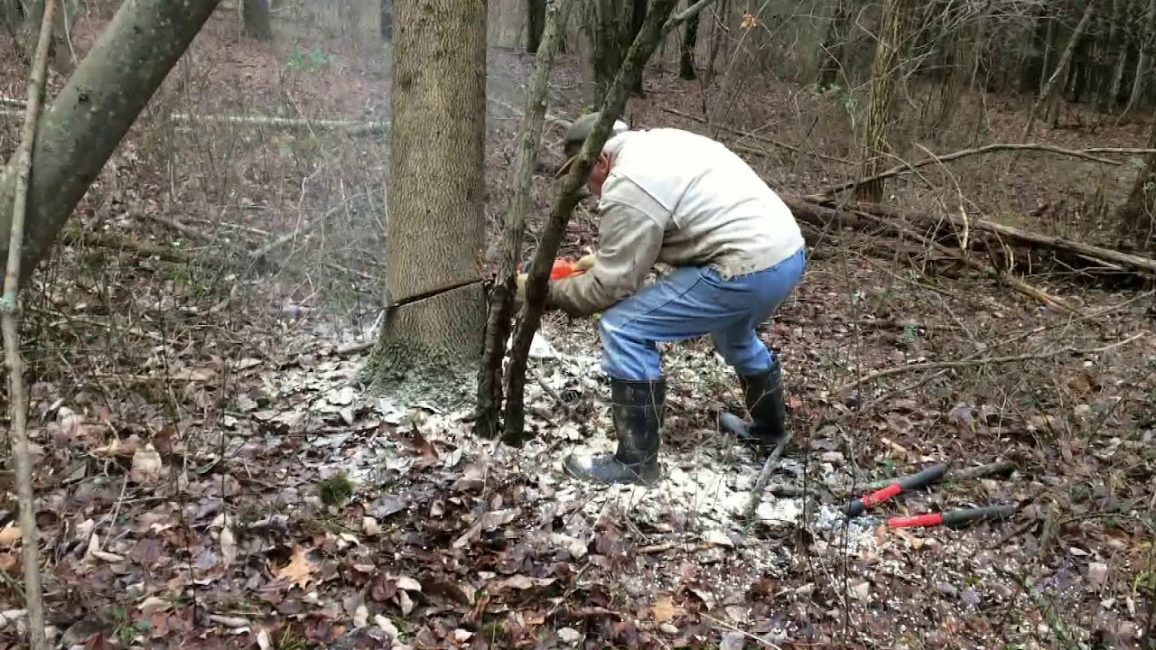 LostPlane TheEagleHasLanded