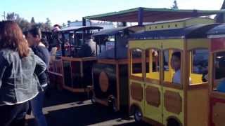 Ivans trackless trains