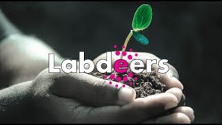 Projekt Labdeers