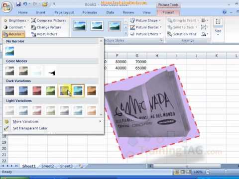 Insert Object and Pictures in MS Excel Bangla