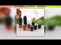 5Pcs 1:12 Dollhouse Simulation Plant Potted Model Dollhouse Fairy Garden Miniature Desktop Home