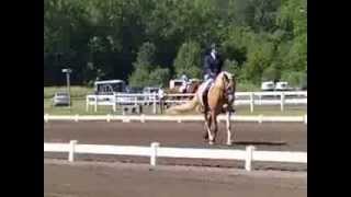 USDF Third Level Test 2