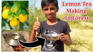 How To Make Lemon Tea In Forest|Lemon Tea Making In Forest|How Make Tea In Forest|Lemon Tea Making