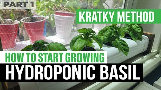 How to Propagate Basil Hydroponically in Mini Downspout KRATKY METHOD  Master Blend vs Plain Water