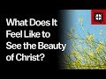 دیدن زیبایی مسیح چه احساسی دارد 