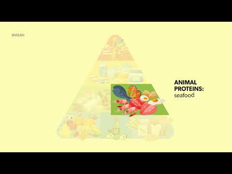 Coleção: Teláris Essencial | Língua Inglesa – Vídeo “Infográfico Food Pyramid" – 8º ano