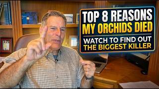 Top 8 Reasons my Orchids Died