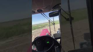traktor mtz