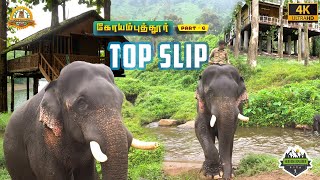 யானைகள் செய்யும் சேட்டைகள் | Topslip Tree house | Complete Guide