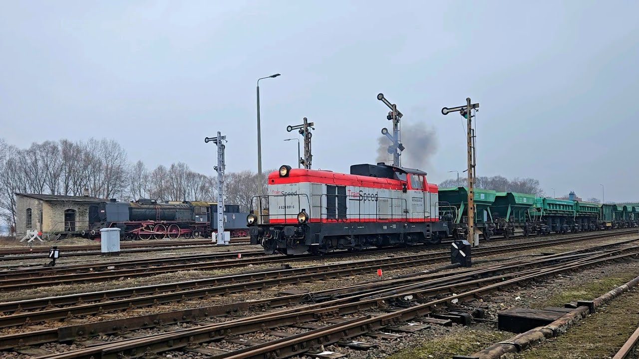 Lokomotywa spalinowa SM42-392 z pociągiem towarowym, Wolsztyn, 23.01.2026.