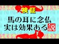 【検証】馬の耳に念仏を聞かせたらどうなるか検証してみた！