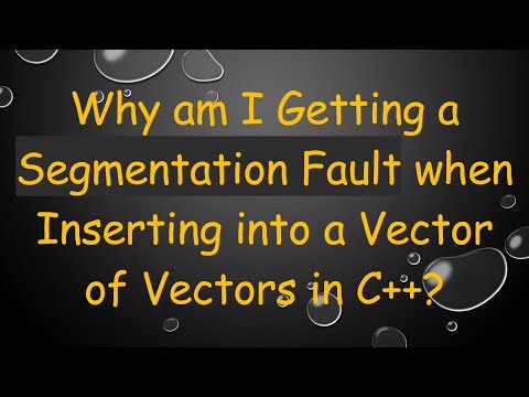 Why am I Getting a Segmentation Fault when Inserting into a Vector of Vectors in C++?