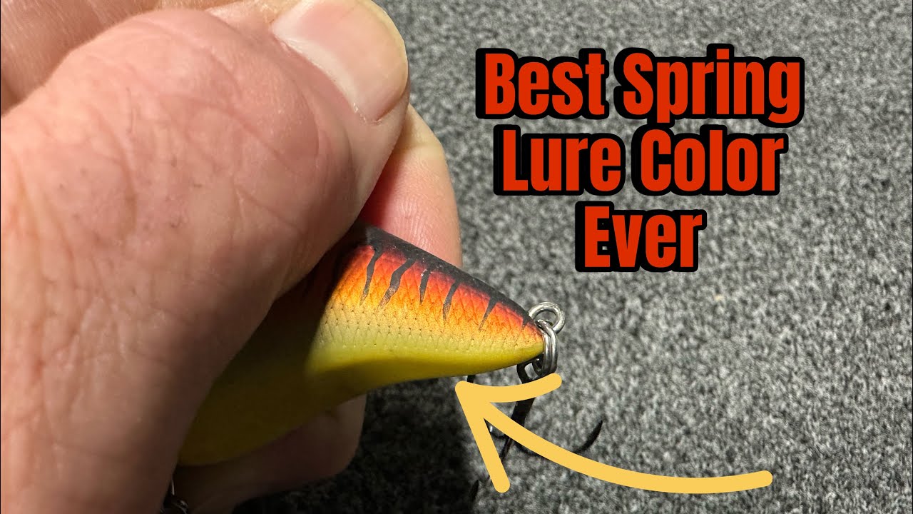You’ll Never Throw A Wiggle Wart Again..