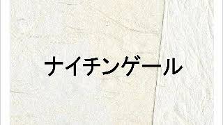 聴くだけ 読書感想文 伝記 ナイチンゲール Youtube 聴くだけ 読書感想文 伝記 ナイチンゲール Youtube