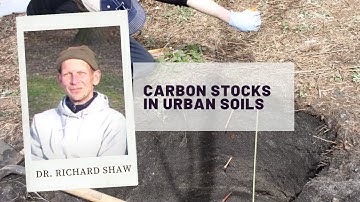 Carbon stocks in urban soils