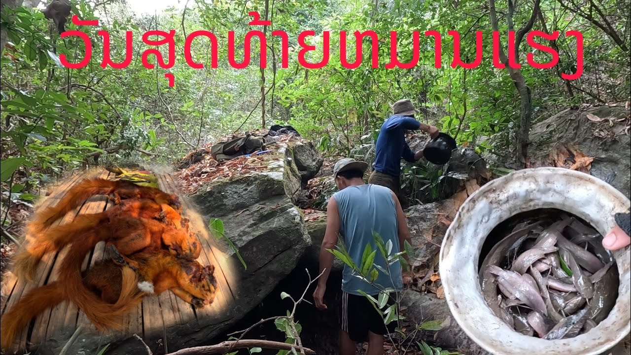 ວັນສຸດທ້າຍຫມາຍແຮງໄດ້ທັງກະຮອກແລະປາ// วันสุดท้าย หมานแรงได้ทั้งกระลอกและปา